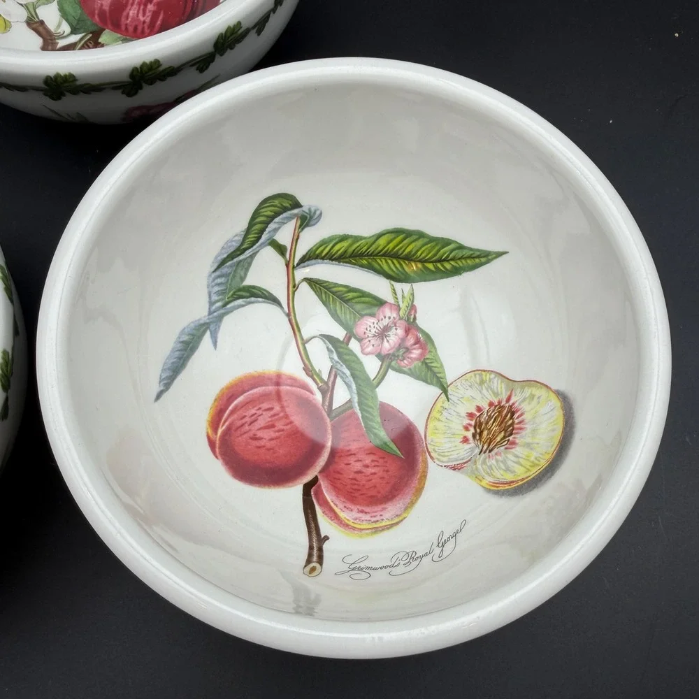 Vtg Portmeirion Pomona Cereal Bowls Set 4 Fruit Botanical Cottagecore 5 1/4 Inch